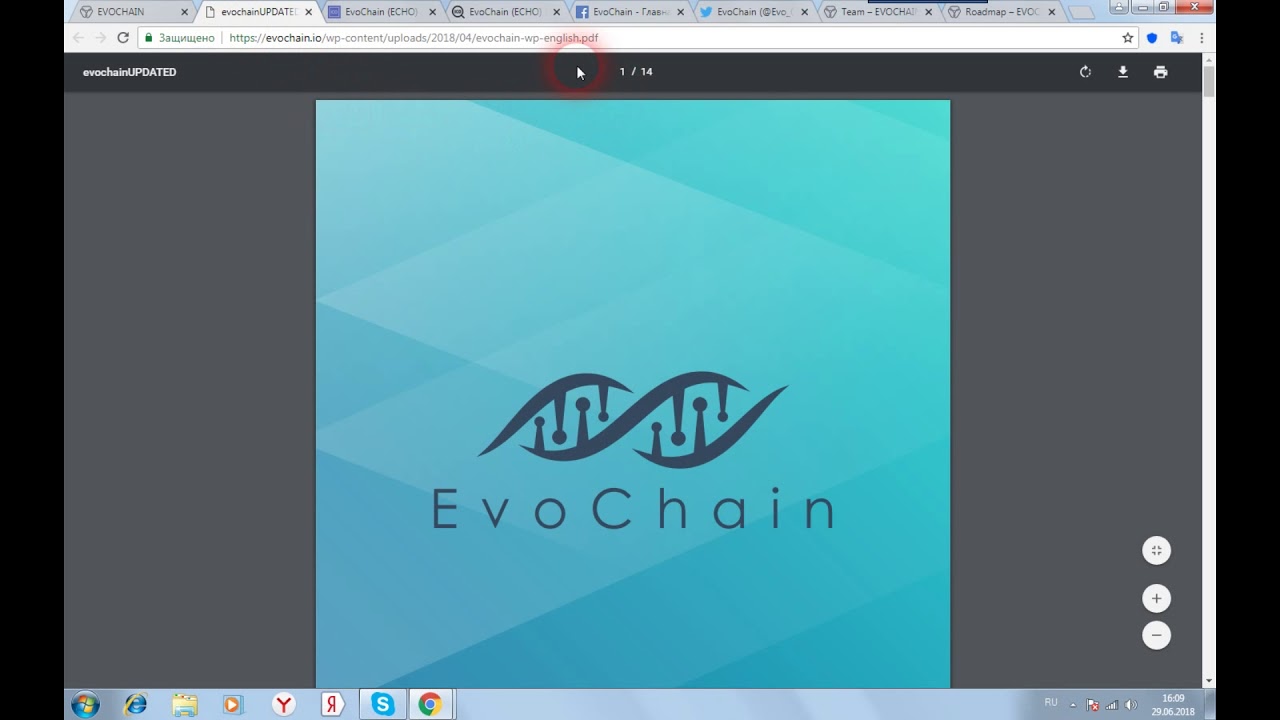 EVOCHAIN - инновация,которая позволяет совершать покупки через криптографию на любых сайтах