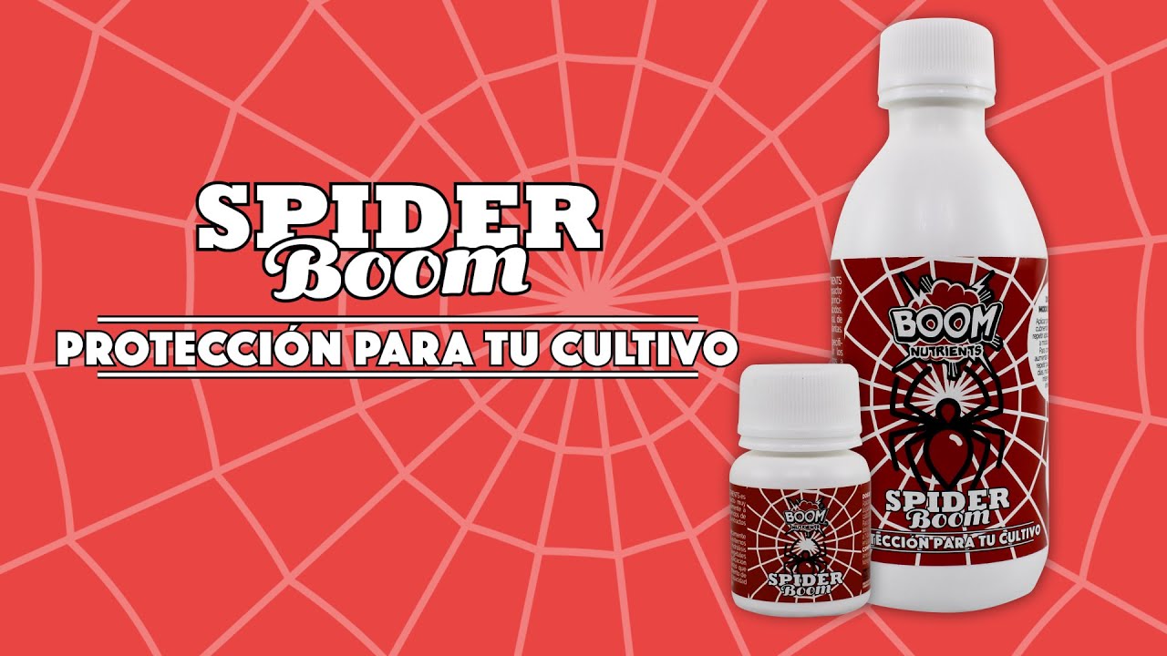 Spider Boom de Boom Nutrients - &iexcl;Acaba con las plagas! | Growbarato - GB The Green Brand