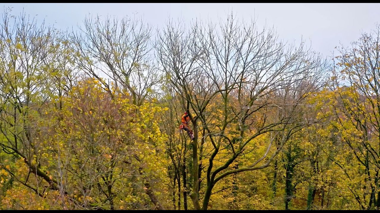Imagefilm Baumpflege und Forstarbeiten Johann Weber Gartenbau