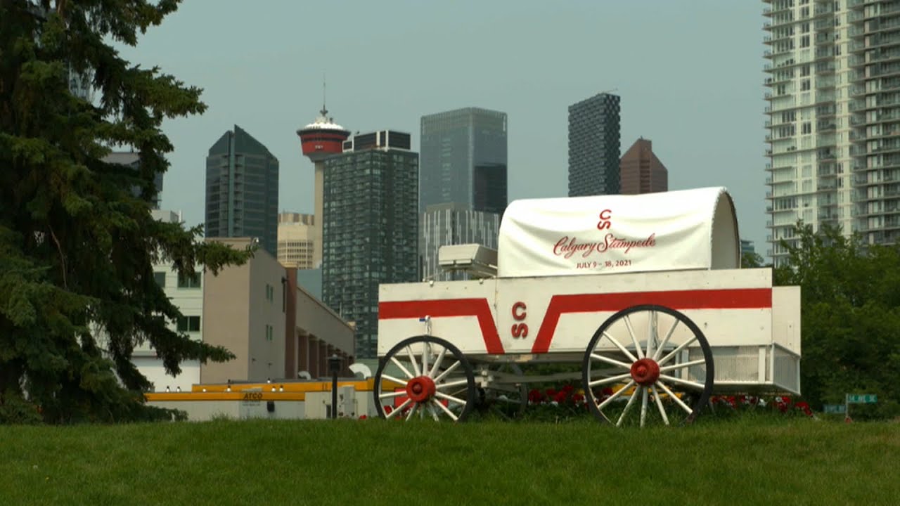 Campaign Politics - Calgary Skyview