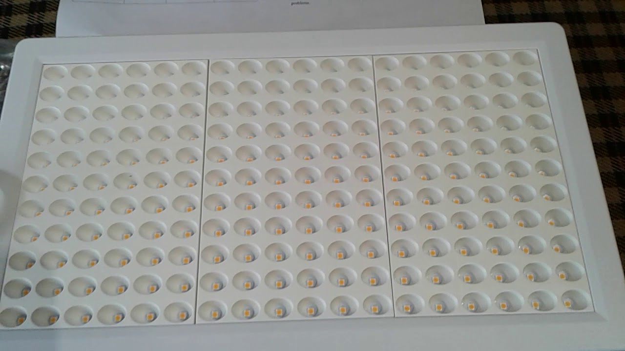 YGROW LED grow light is AWESOME wow that's bright! #BLURPLEKINGGROWS