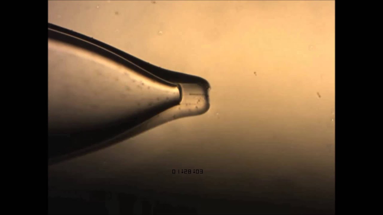 ACS Nano : Bipolar Electrochemical Method for Dynamic In Situ Control of Single Metal Nanowire...