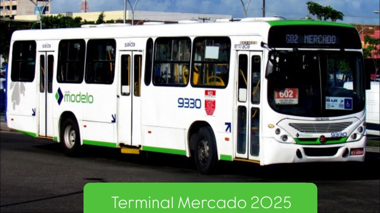 #49 Movimentação - Terminal de Integração do Mercado