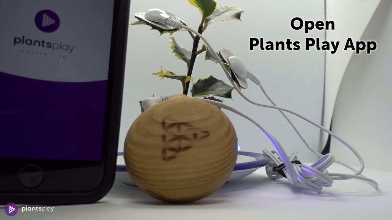 How get started with your Plants Play