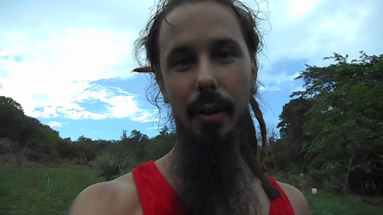 Ganja Farm in Jamaica