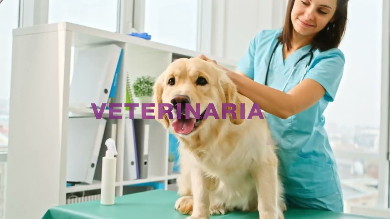 MELAG SteriHero VET - autoklawy dla gabinetów i klinik weterynaryjnych