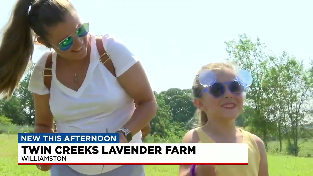 Upick at Twins Creek lavender farm