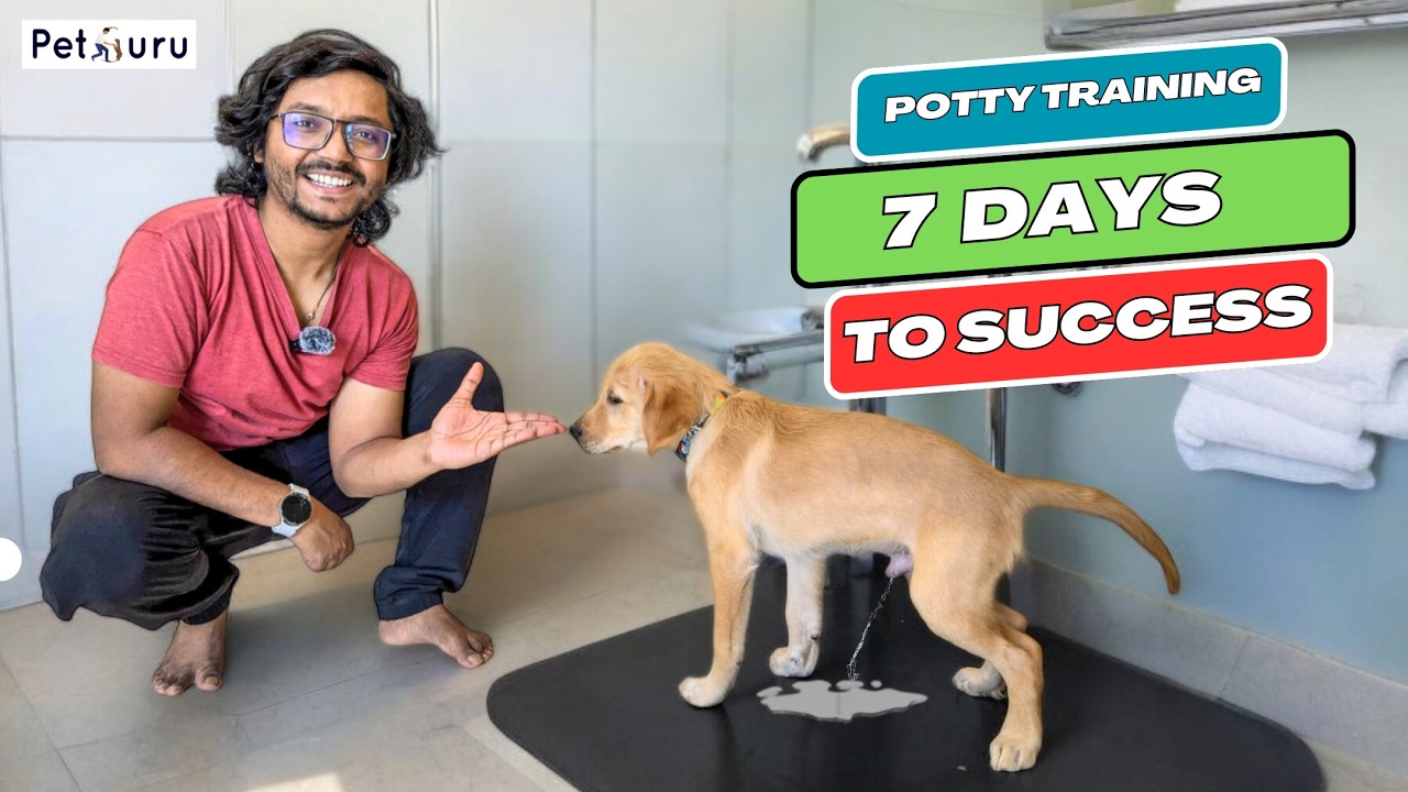 Potty Training Your Dog in 7 Days: Proven Techniques by PetGuru Academy