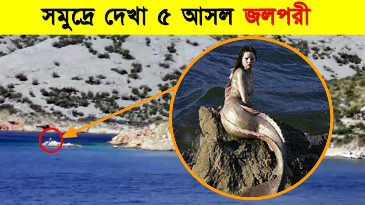 সমুদ্রে দেখা 5টি রহস্যময় জলপরী, 5 Mysterious Mermaids Spotted in the Ocean,