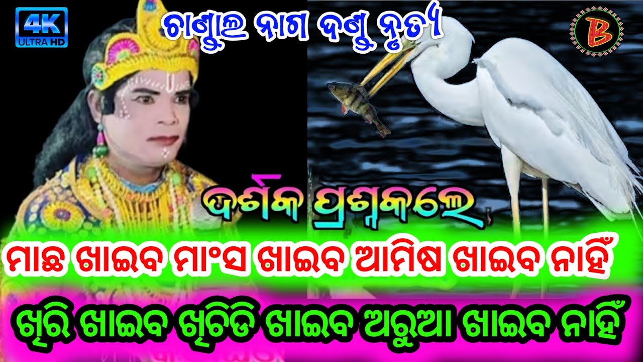 ମାଛ ଖାଇବ ମାଂସ ଖାଇବ ଆମିଷ ଖାଇବ ନାହିଁ! କ୍ଷୀରି ଖାଇବ ଖିଚିଡି ଖାଇବ  Chandal Nag Danda Nrutya#chandalnag 