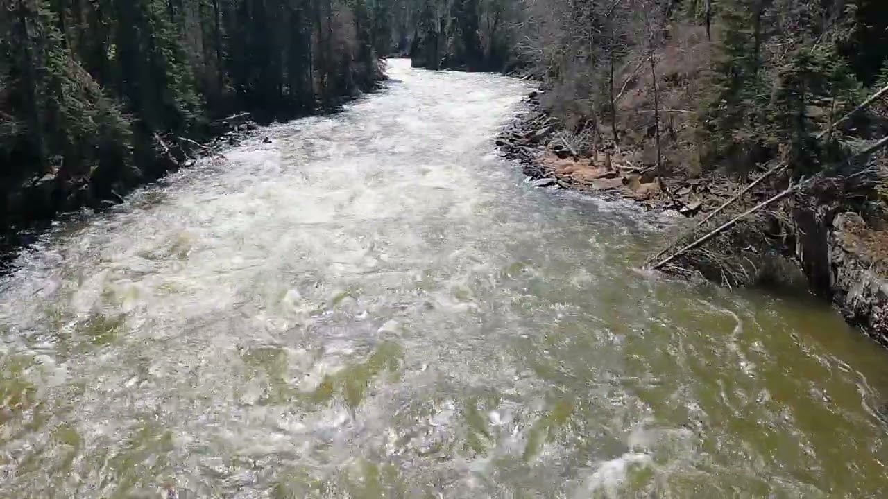 A Fast River and a Bridge on a Sunny Day