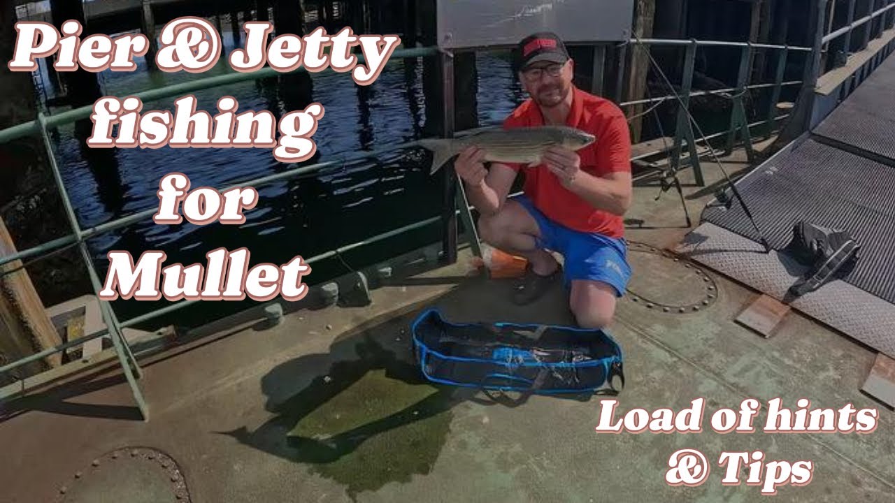Pier & Jetty Mullet Fishing