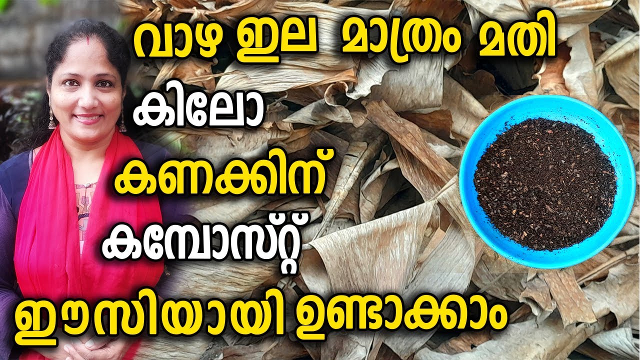 വാഴ ഇല മാത്രം മതി കിലോ കണക്കിന് കമ്പോസ്റ്റ് ഈസിയായി ഉണ്ടാക്കാം | ZERO COST COMPOST using Banana leaf