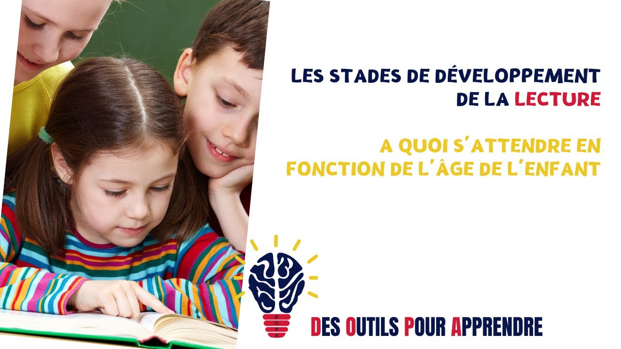 Lecture - stades de développement en fonction de l’âge chronobiologique