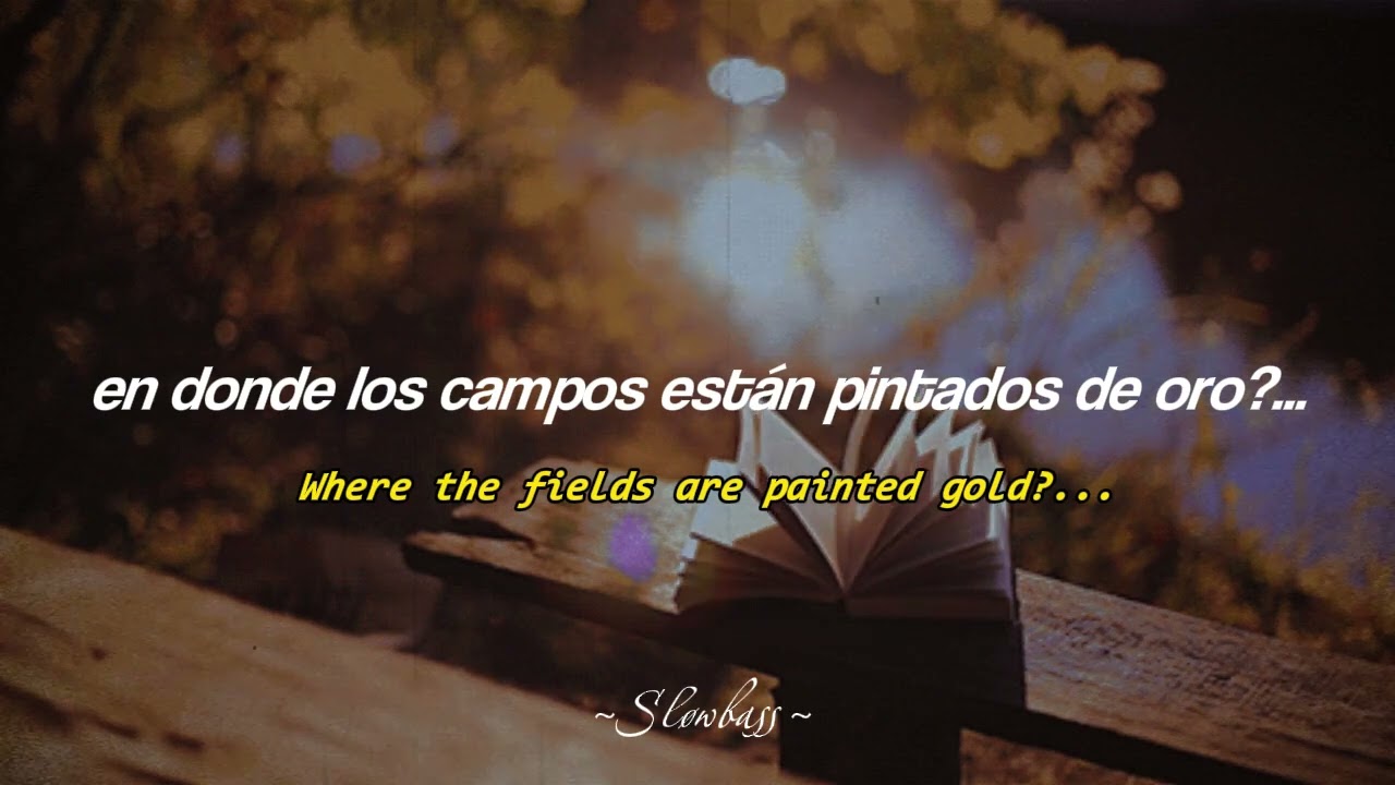 The Paper Kites ~ Bloom // Sub.español & lyrics 🌻