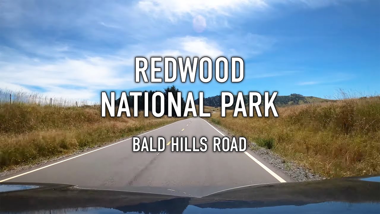 Bald Hills Road Scenic Drive in Redwood National Park in 4K