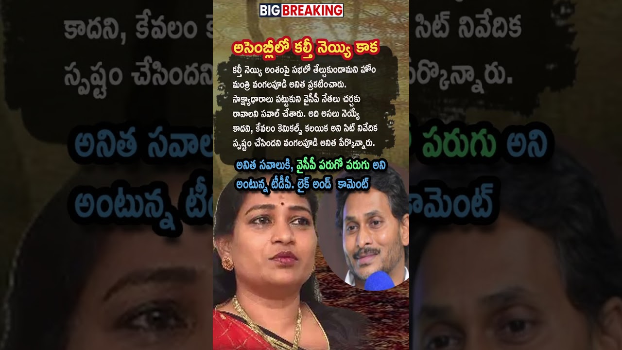 Ap Politics, Vangalapudi Anitha Calls For Assembly Showdown On Ghee Issue ⚖️