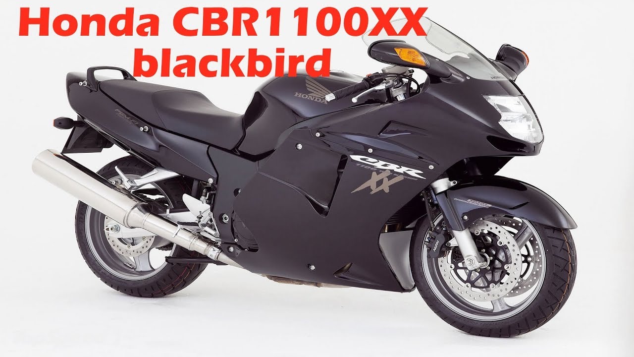 Даем дрозда!!! Обзор Honda CBR1100XX blackbird.