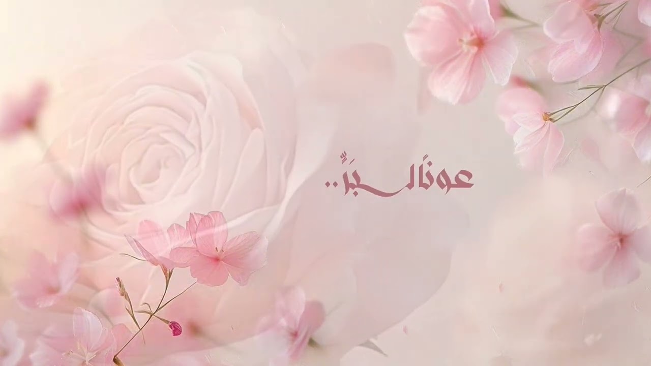 حُب .. 💞