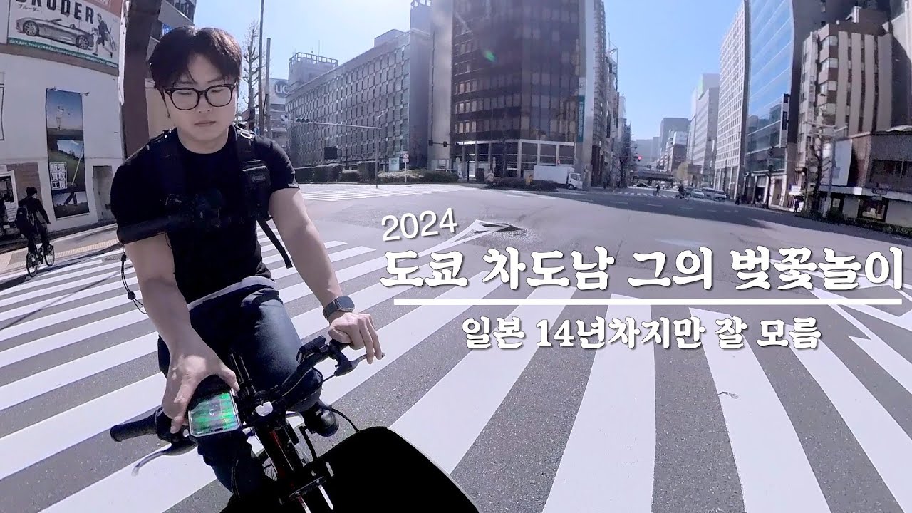 도쿄 직장인 I 도쿄 차도남 그의 벚꽃놀이