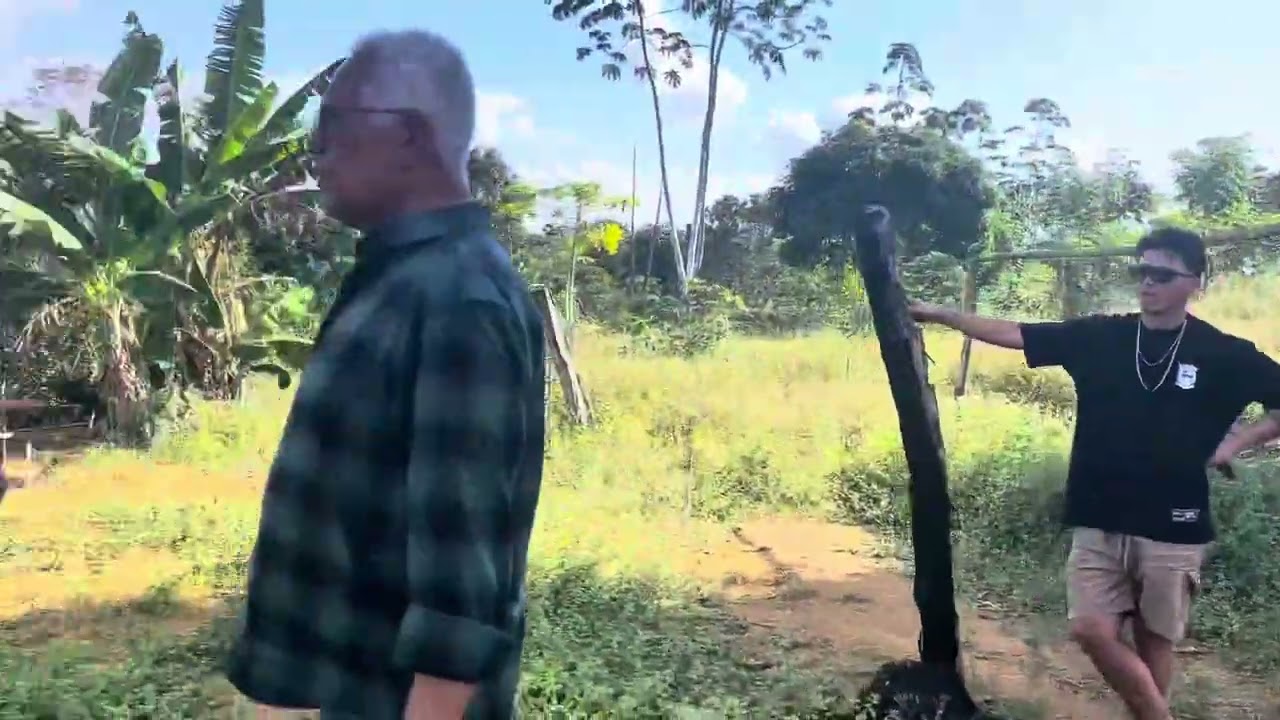 Uma tarde numa fazenda em Uruçuca Sul da Bahia 
