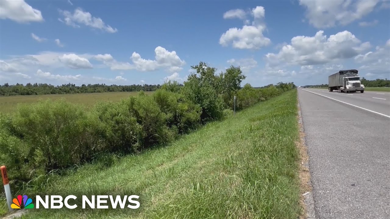 Police say 'miracle baby' survived two days in Louisiana ditch