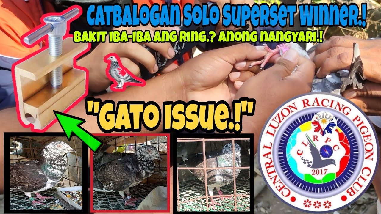 CATBALOGAN SOLO SUPERSET WINNER 