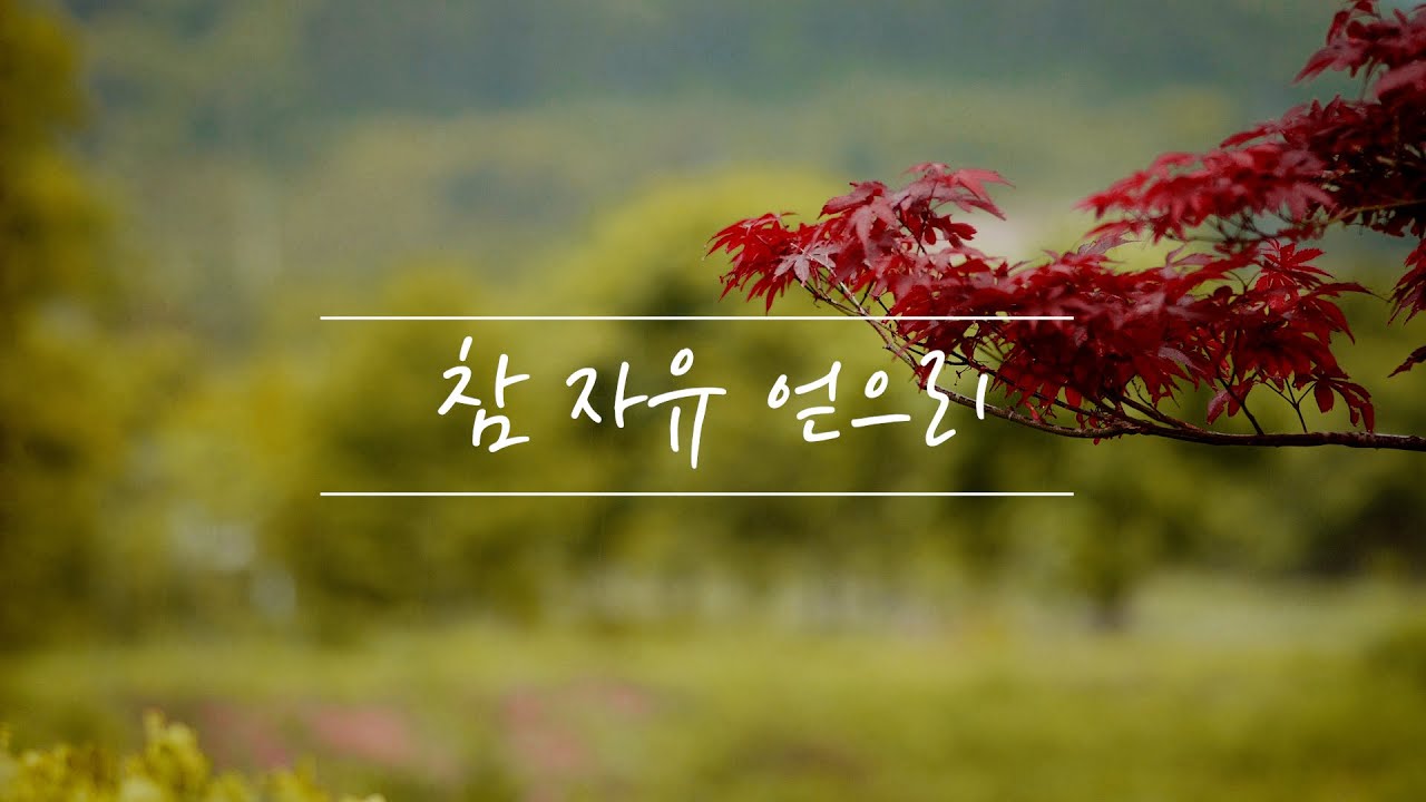 비 오는 날 듣는 피아노 찬양 (feat. 참 자유 얻으리)