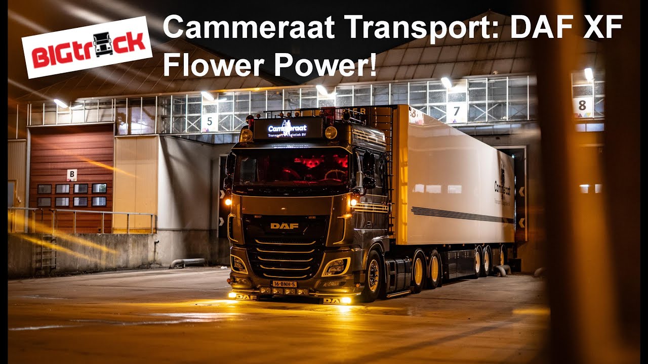 BIGtruck DAF XF Cammeraat Транспорт
