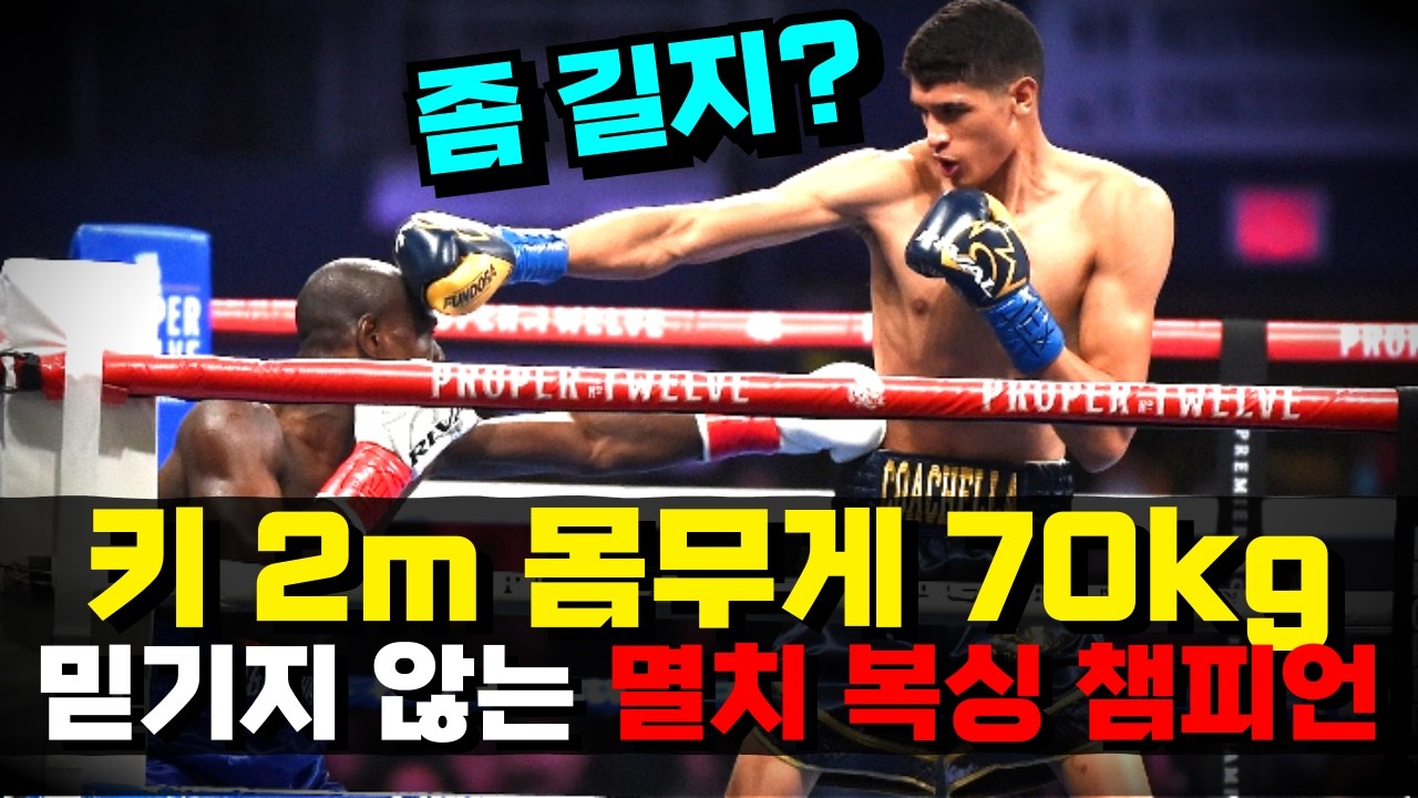 세계 챔피언이 박살 났다!!? 키 200cm 몸무게 70kg 세계 최강 멸치 복서 ㄷㄷ