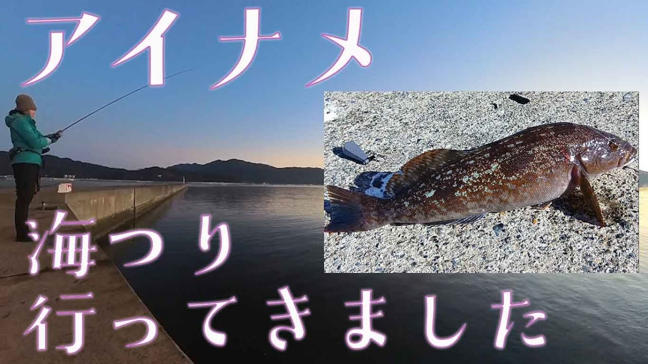 ジギング再開しました。アイナメが釣れました！11月の岩手県・釣り2回分