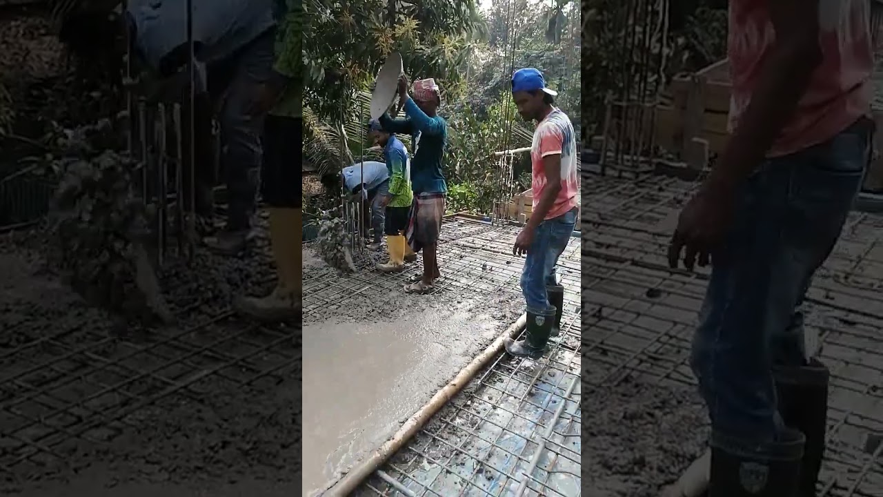 আজকে আবার ছাদ ডালাই করালাম 