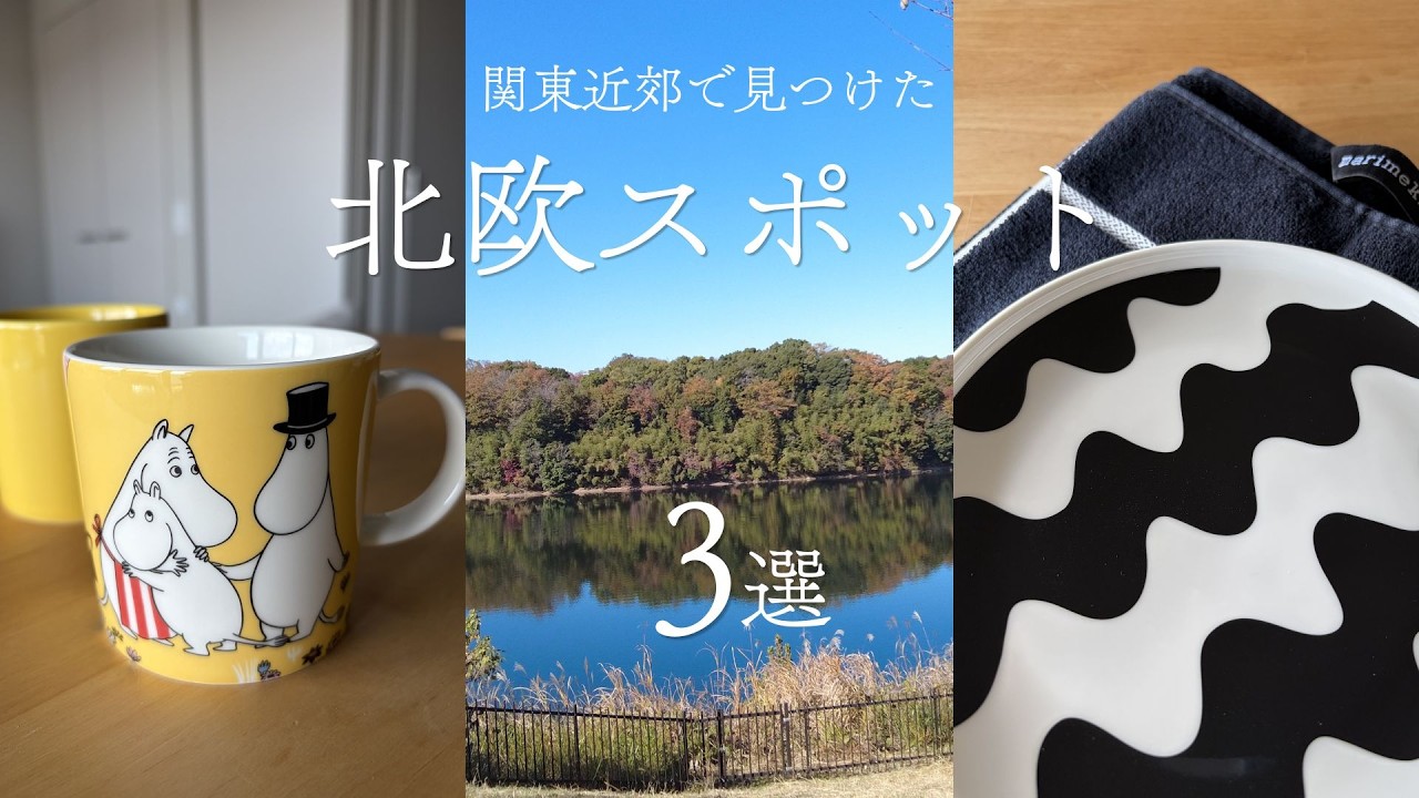 【Daily Vlog】フィンランドが恋しくて、日本で北欧を探す日｜IKEA・メッツァ・アウトレット