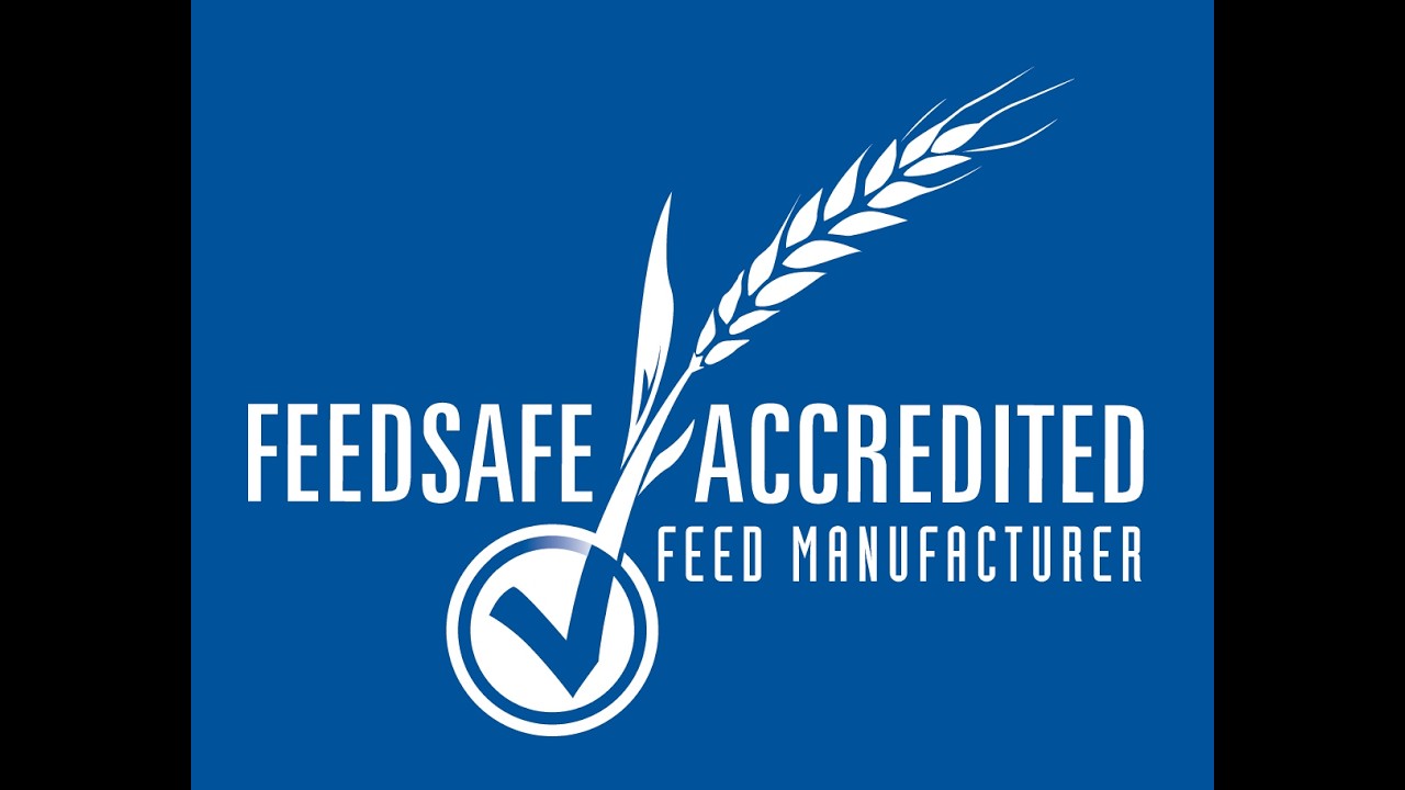 FeedSafe Guidance Training 20260211 120510 Meeting Recording