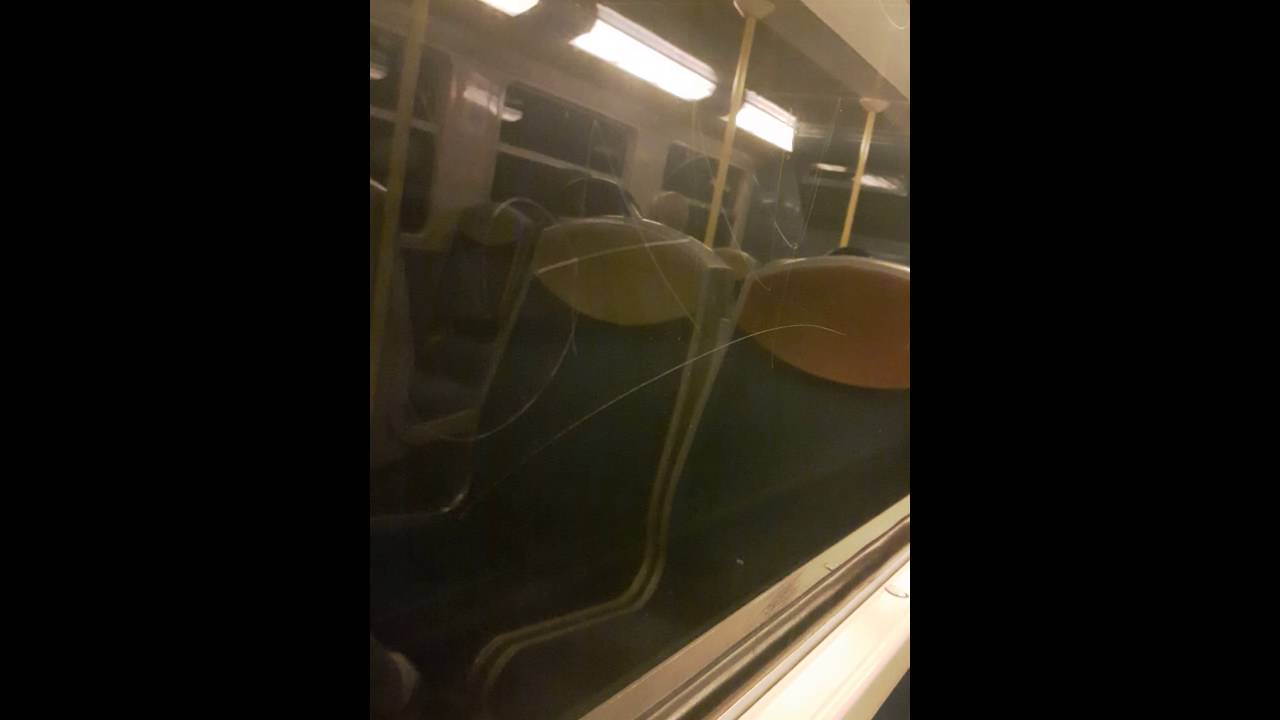 (Rer D) Voyage entre Paris Gare De Lyon et Chatelet-Les-Halles