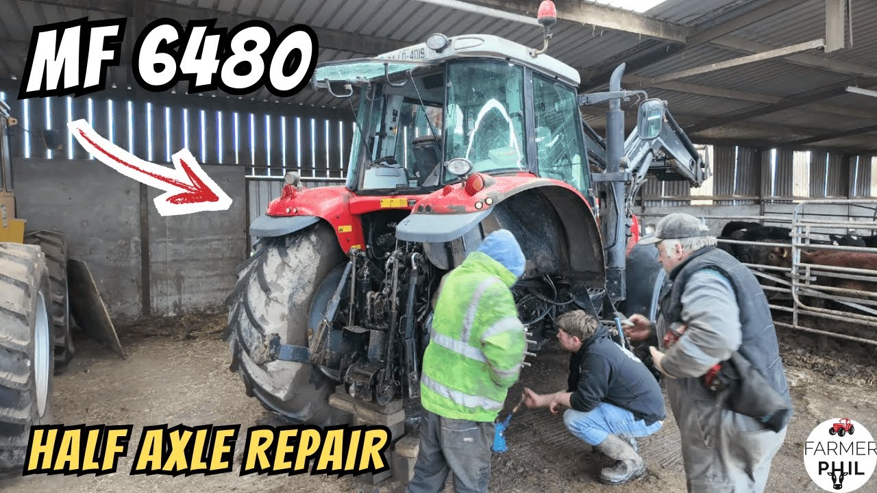 No Hedge Cutting Until This Is Fixed | MF 6480 Repair