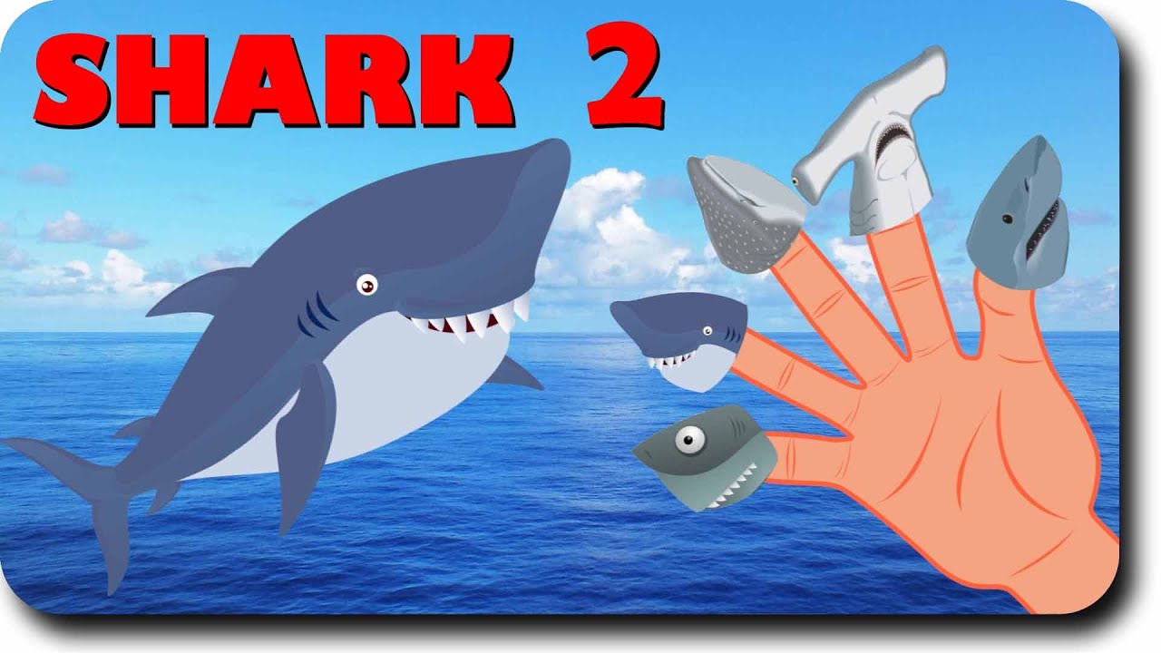 Finger Family Shark Family Nursery Rhyme | Animal Finger Family | Fish Finger Family for children