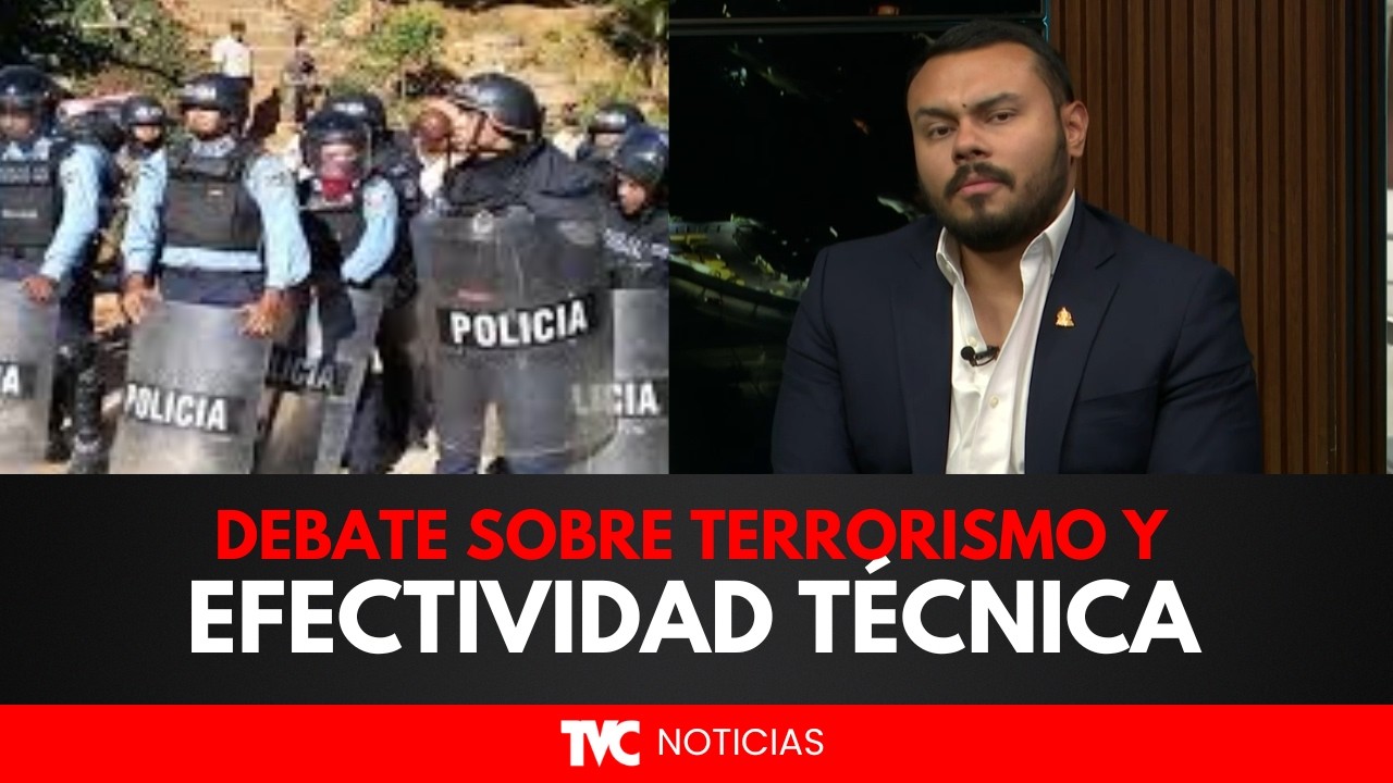 Análisis de reformas penales: Debate sobre terrorismo y efectividad técnica