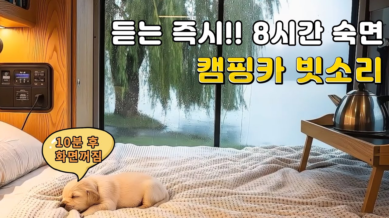 듣는 즉시 8시간 숙면! 포근한 차박 빗소리 / 불면증 해소와 수면유도 ASMR