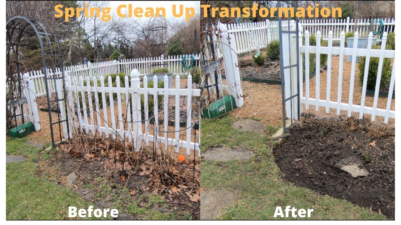 Before and After Spring Clean Up Transformation
