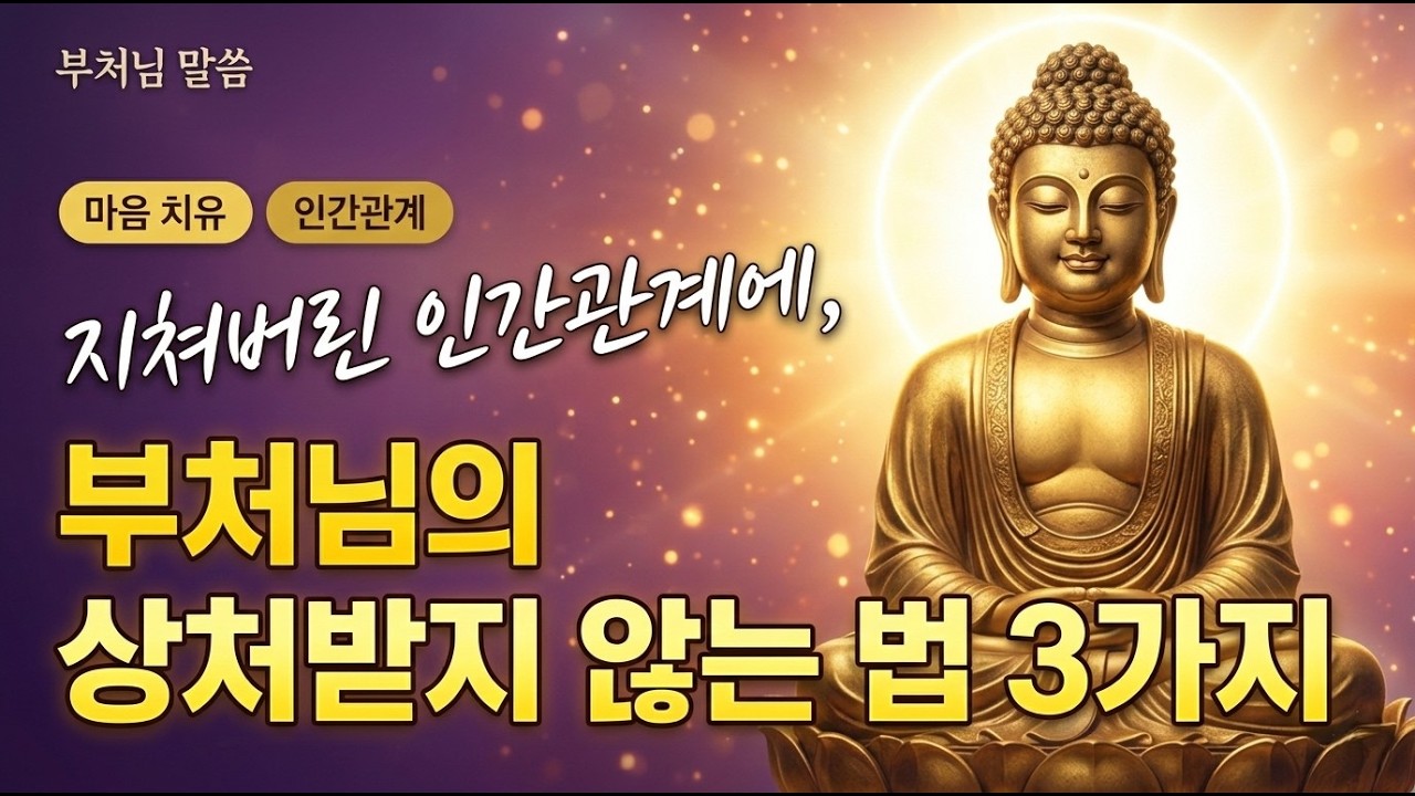 '인간관계' 고민 해결! '부처님'의 '상처받지 않는' 법 3가지 '가르침' (당신의 삶이 바뀝니다)ㅣ부처님말씀ㅣ불교명언ㅣ수면명상
