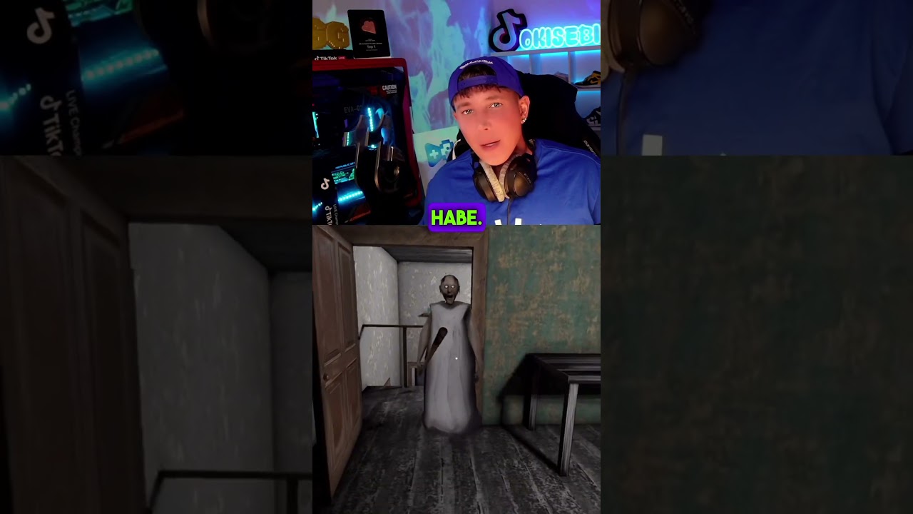 ICH SPIELE GRANNY UND DU KANNST MICH STEUERN 😱 