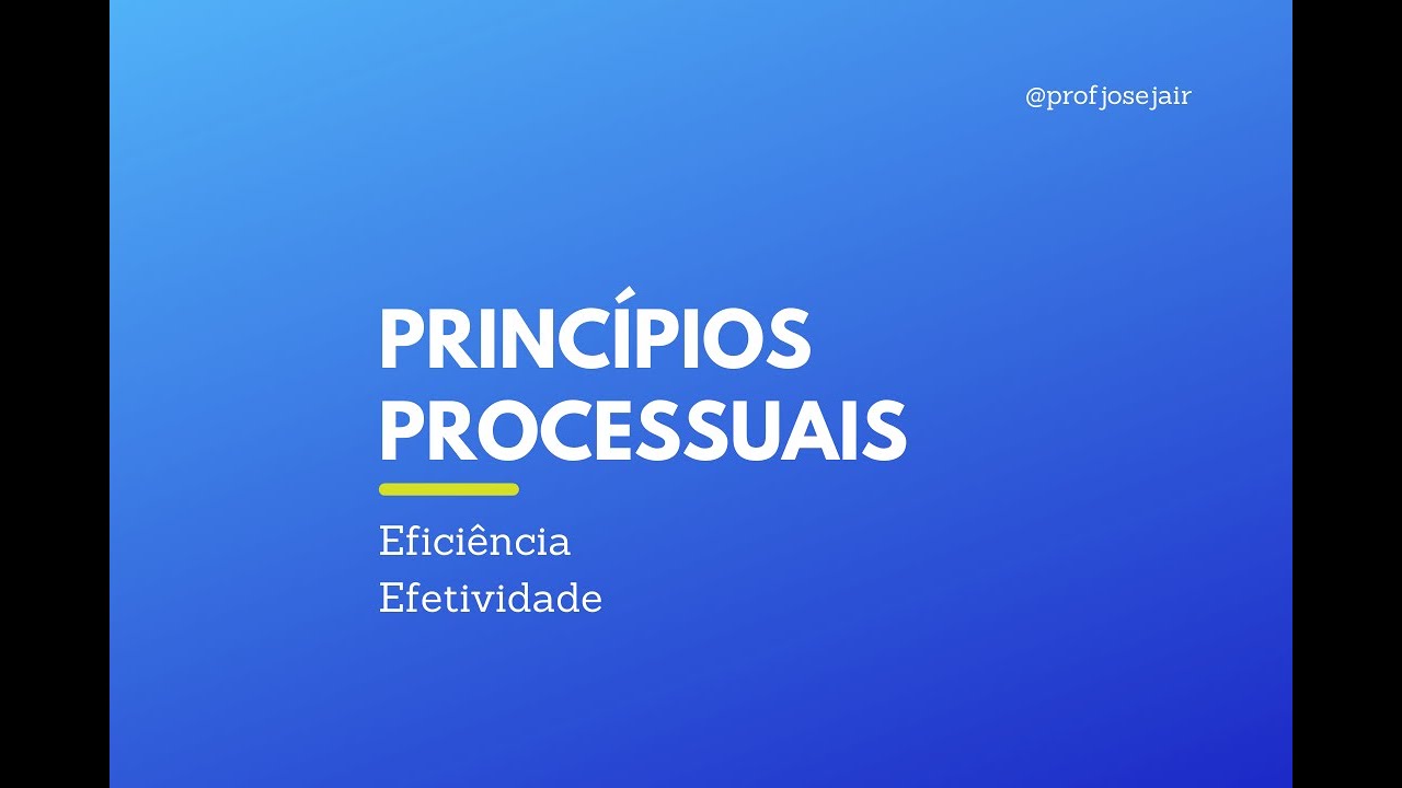 Princípios da Eficiência e Efetividade