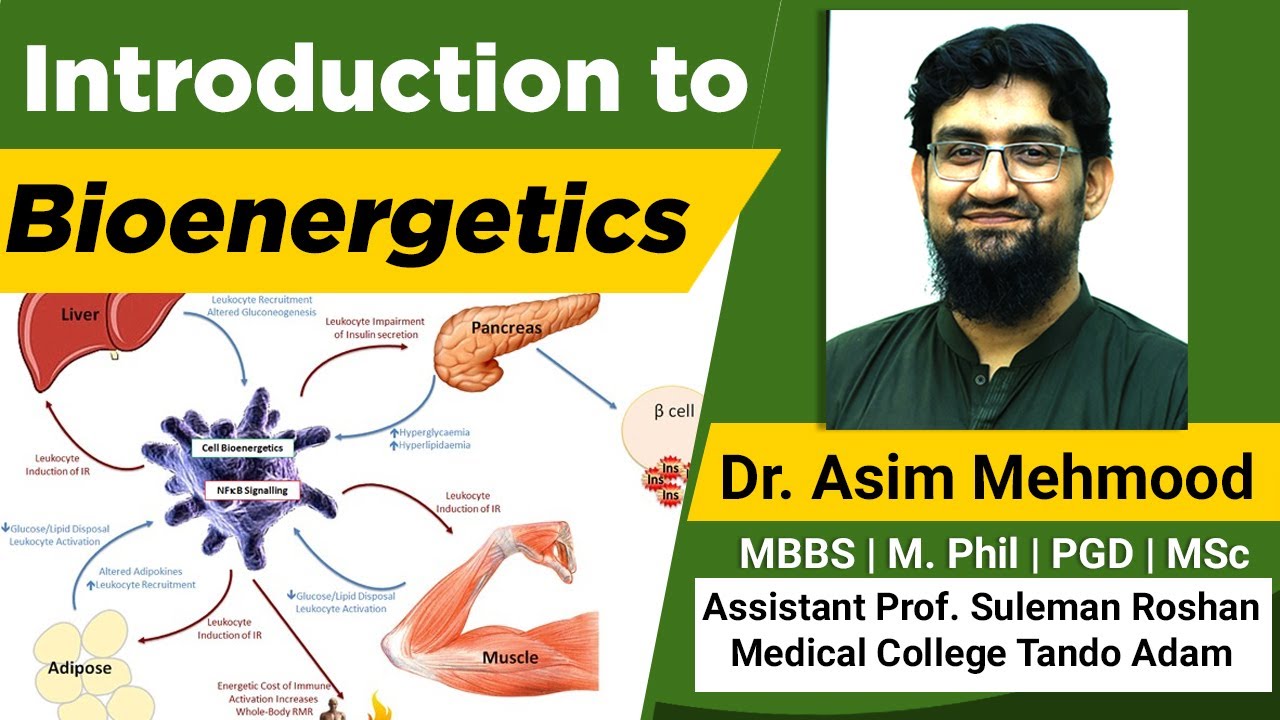 Introduction to Bioenergetics and ATP ( Hindi / Urdu )