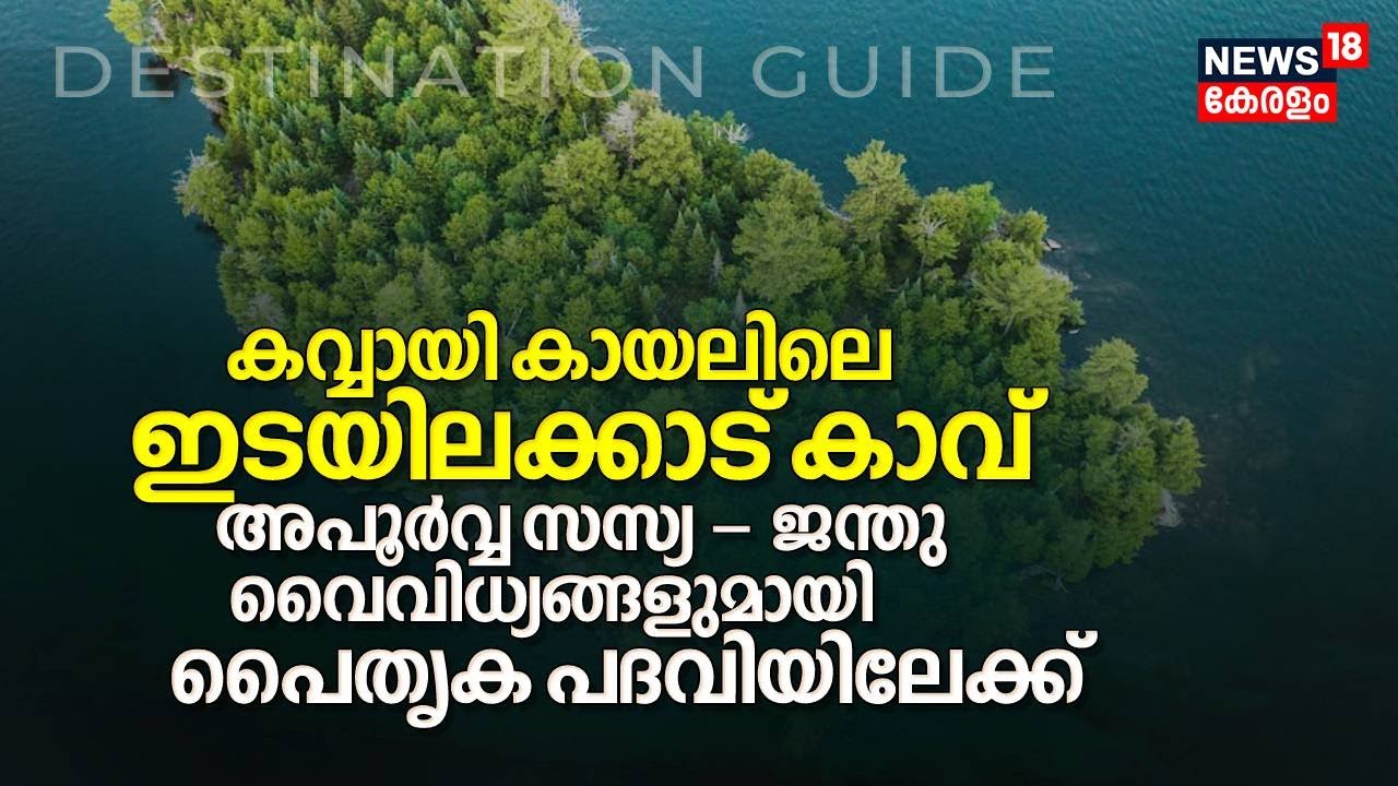 Kavvayi Lakeന്റെ നടുവിലായി Edayilakkad കാവ്, അപൂർവ്വ സസ്യ-ജന്തു വൈവിധ്യങ്ങളുമായി പൈതൃക പദവിയിലേക്ക്