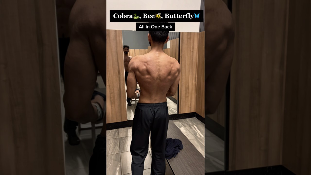 The Cobra, The Bee & The Butterfly Back | Build a Back That Turns Heads #shredded #back #gymtips