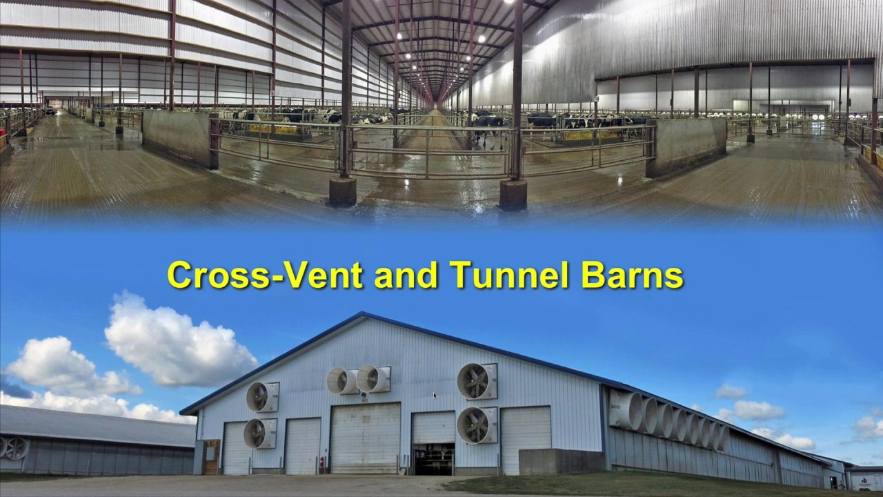A breath of fresh air – ventilating barns