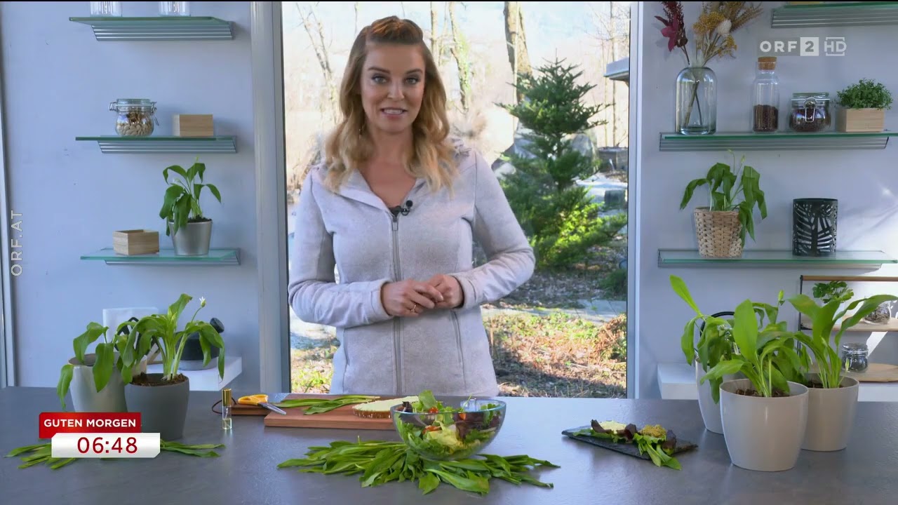 Bärlauch - Der Knoblauch aus dem Wald