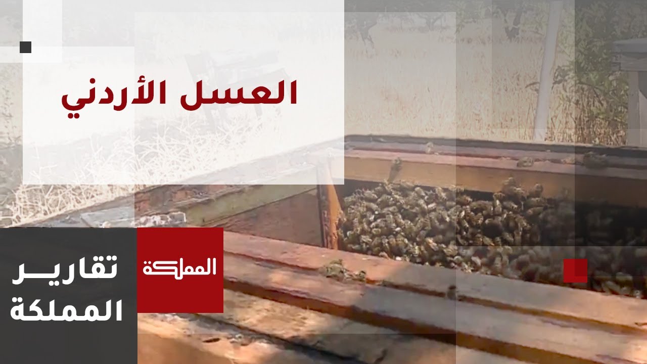 زيادة انتاج العسل واقترابه من مرحلة الاكتفاء الذاتي في الأردن