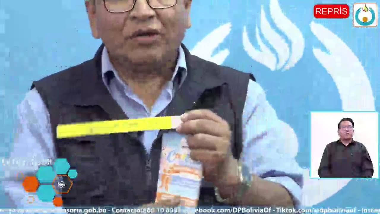 PLAN DEFENSORIAL ELECCIONES SUB NACIONALES 2026 – MONITOREO ELECTORAL 2026